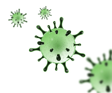 Coronavirus Homöopathie